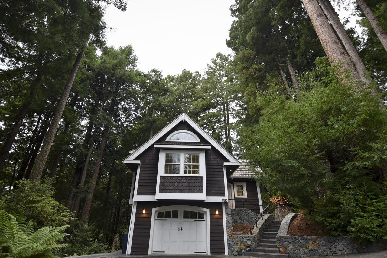 Serene Redwood Retreat Arcata Dış mekan fotoğraf